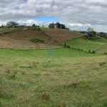 HERMOSA PARCELA EN LINEA NUEVA, PUERTO VARAS