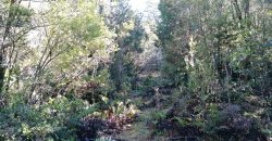 TERRENO DE 3 HECTÁREAS, SECTOR DE RÍO BLANCO.