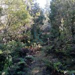 TERRENO DE 3 HECTÁREAS, SECTOR DE RÍO BLANCO.