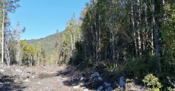 TERRENO DE 3 HECTÁREAS, SECTOR DE RÍO BLANCO.