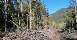 TERRENO DE 3 HECTÁREAS, SECTOR DE RÍO BLANCO.