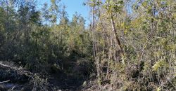 TERRENO DE 3 HECTÁREAS, SECTOR DE RÍO BLANCO.