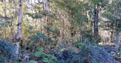 TERRENO DE 3 HECTÁREAS, SECTOR DE RÍO BLANCO.