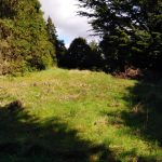 Terreno de 10.000 mts2, En Caulín Bajo, Punta Pugueñun, Ancud.