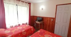 Arriendo  Departamento en Condominio Parque Suizo, Pucón.