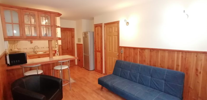 Arriendo  Departamento en Condominio Parque Suizo, Pucón.
