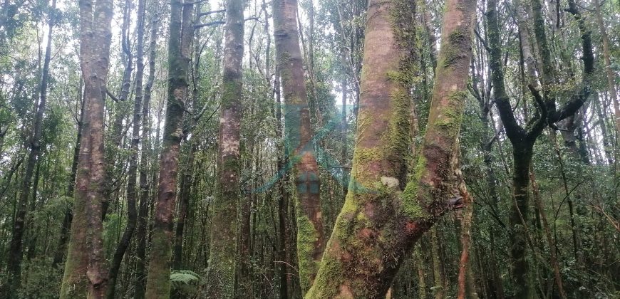 Hermosa y Céntrica Parcela, en Puerto Montt