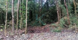 Hermosa y Céntrica Parcela, en Puerto Montt