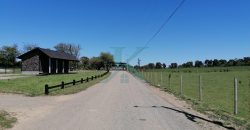 Hermosa Parcela camino a Nueva Braunau