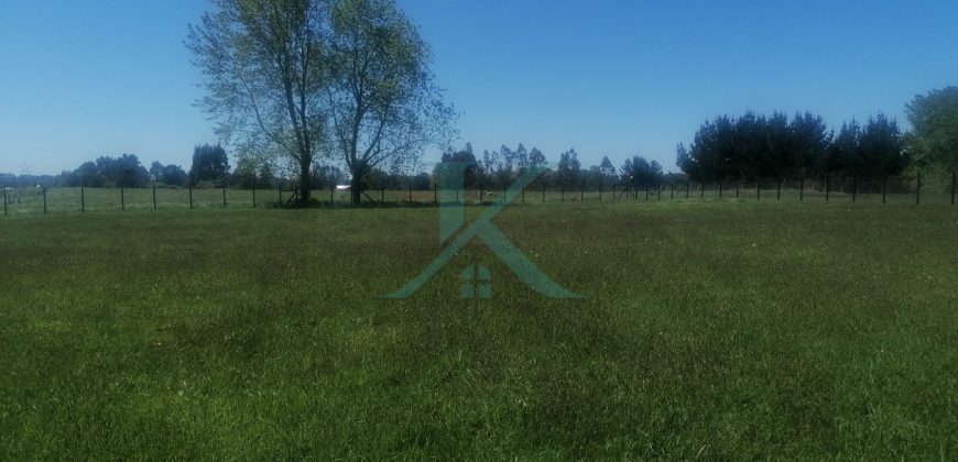 Hermosa Parcela camino a Nueva Braunau