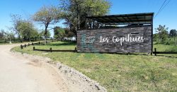 Hermosa Parcela camino a Nueva Braunau