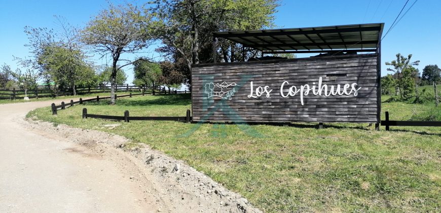 Hermosa Parcela camino a Nueva Braunau