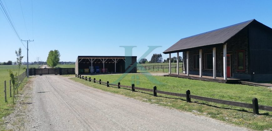 Hermosa Parcela camino a Nueva Braunau