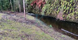 EN VENTA PARCELA CON RÍO Y DOS CABAÑAS, SECTOR COLONIA LA POZA, PUERTO VARAS.