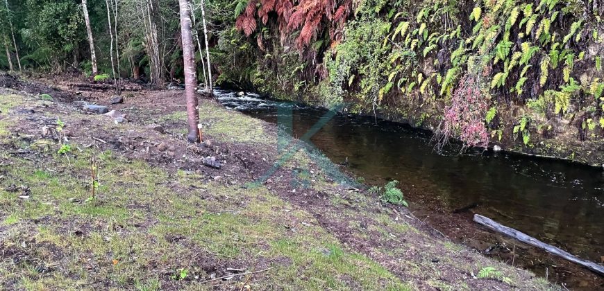 EN VENTA PARCELA CON RÍO Y DOS CABAÑAS, SECTOR COLONIA LA POZA, PUERTO VARAS.