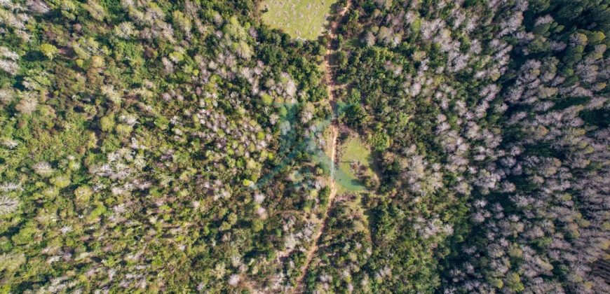 Loteo de 16 parcelas en Parga, Fresia.